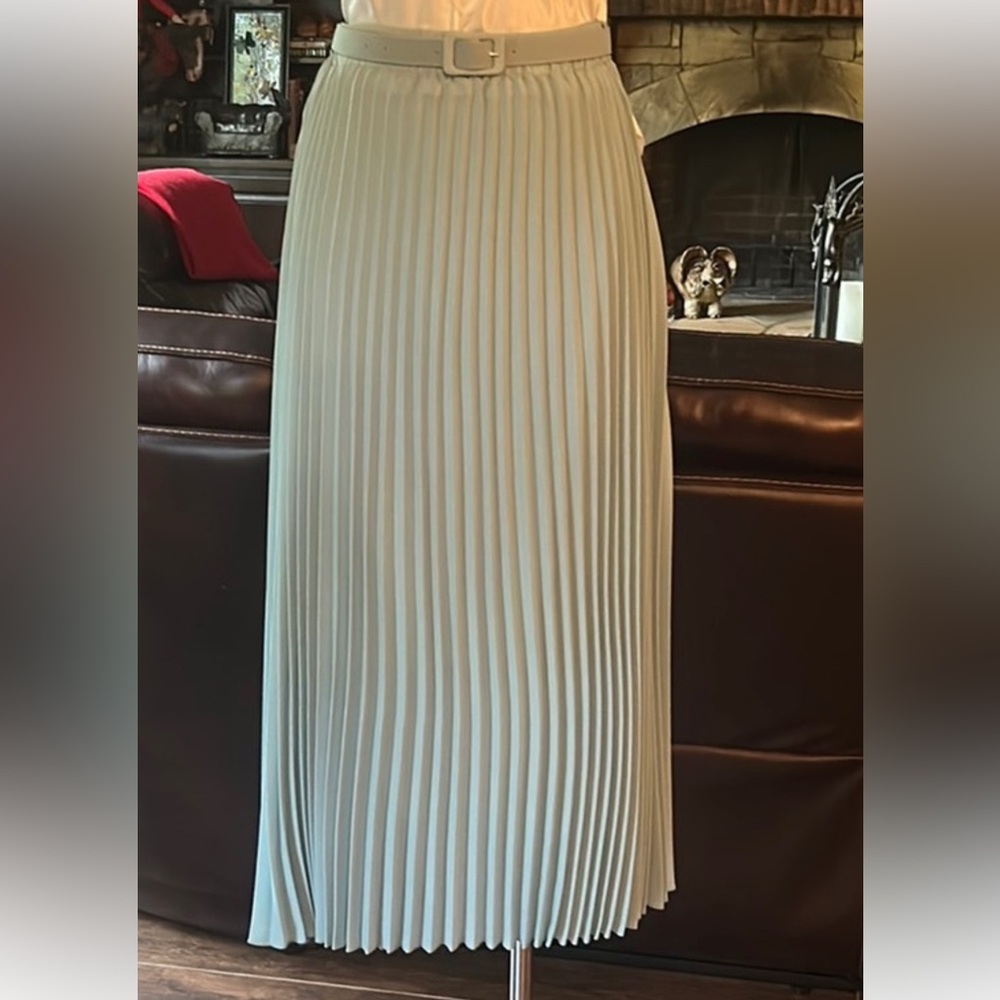 NWOT Lanya Sz Women’s Light Blue Suede Skirt with belt
